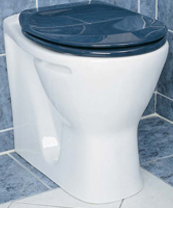 Modern Toilet Raised Height BTW 