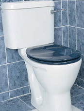 Comfort Height Toilet Modern