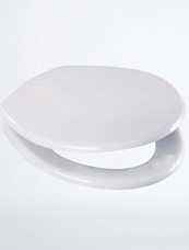 White Toilet Seat